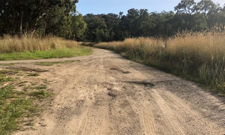 Binalong Residents Want More Attention On Their Roads