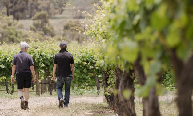 Eden Road Wines prove Sangiovese has found its second home in Murrumbateman, Australia
