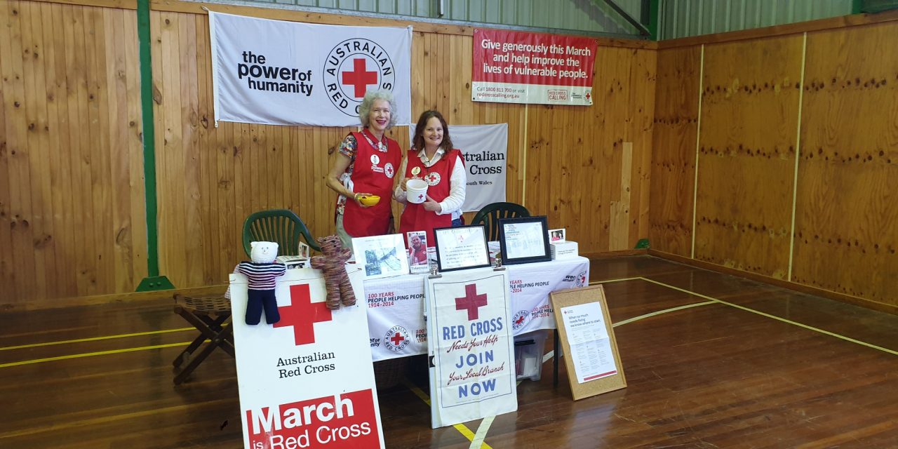 Yass Red Cross on the lookout for new members and keen knitters